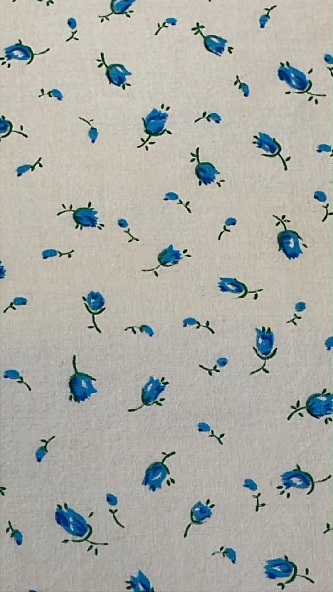Ditsy floral.  Blue flowers on white.  Sold by the half yard.