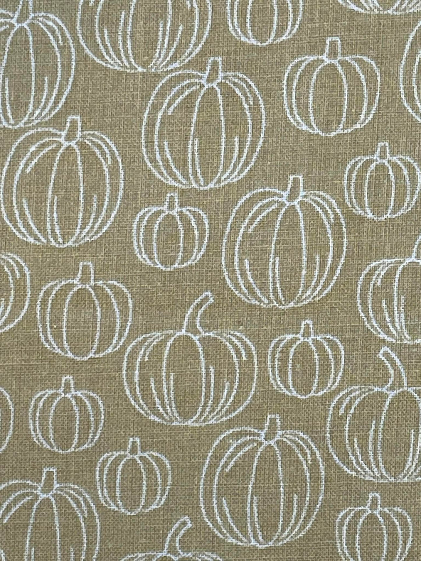 Pumpkins on neutral background.  Sold by the yard.